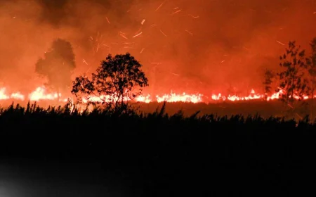 Kabut Asap Karhutla Selimuti Mandastana Batola, Perempuan Penderita Asma Meninggal Dunia