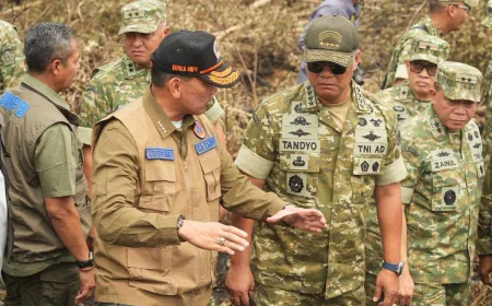 Batola Terlewat dari Banpres Karhutla, Gubernur Kalsel Desak Dukungan Pemerintah Pusat