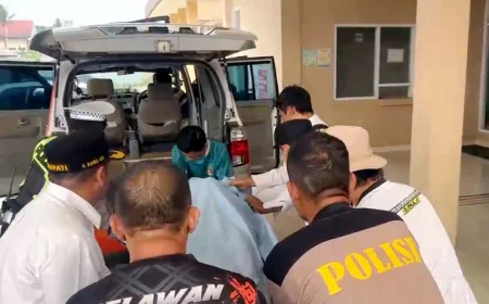 Berjibaku Memadamkan Karhutla di Alalak Batola, Relawan Sarimi Kayu Bulan Meninggal Dunia