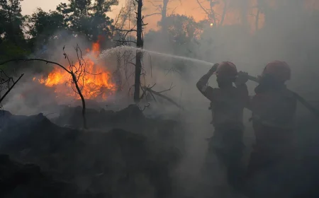Kebagian Banpres Karhutla, Pemkab Batola Masih Susun Rencana Penggunaan Anggaran