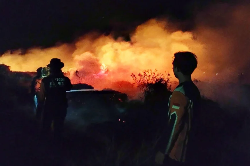 Pakan Makin Mahal, Kemarau dan Karhutla Gerus Keuntungan Peternak di Tapin