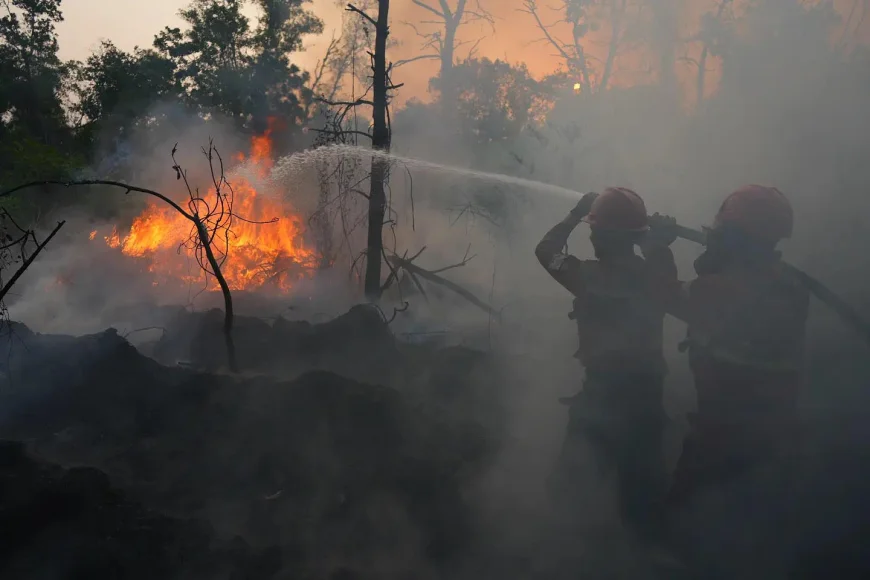 Kebagian Banpres Karhutla, Pemkab Batola Masih Susun Rencana Penggunaan Anggaran